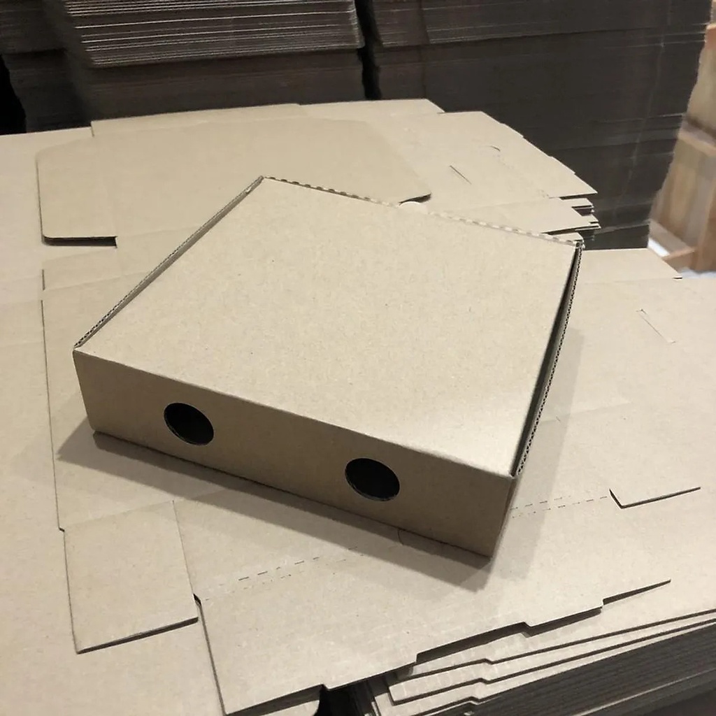 83Store- Combo 50hộp 20x20x4 Hộp bánh pizza 20*20*4cm