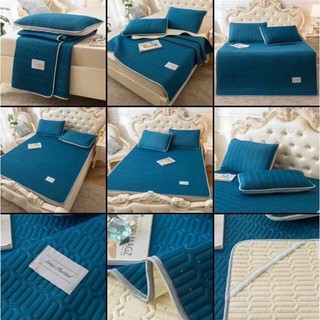 Chiếu điều hòa cao su non,chiếu điều hòa tencel latex cao su non tặng kèm 2 vỏ gối