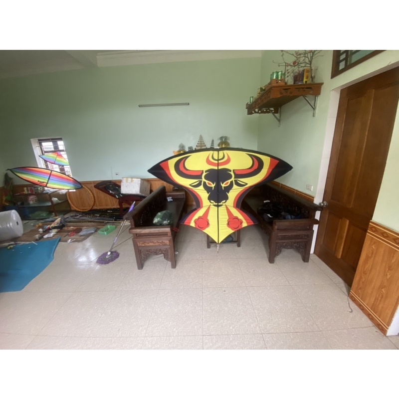 diều trâu 2m5