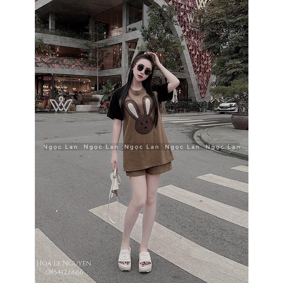 Set Đùi Thể Thao Thêu Thỏ Nổi Cộc Tay Nam Nữ 3158 Chất Cotton Khô Unisex Basic