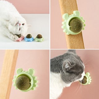 Cỏ bạc hà cho mèo - Cỏ mèo Catnip (ống 10g)