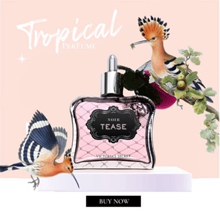 [tropical] Nước hoa Victoria’s Secret Noir Tease EDP (5ml/10ml/20ml)