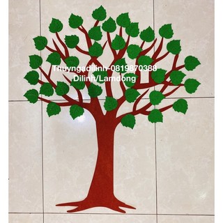 Cây vải nỉ cao 86 cm mầm non