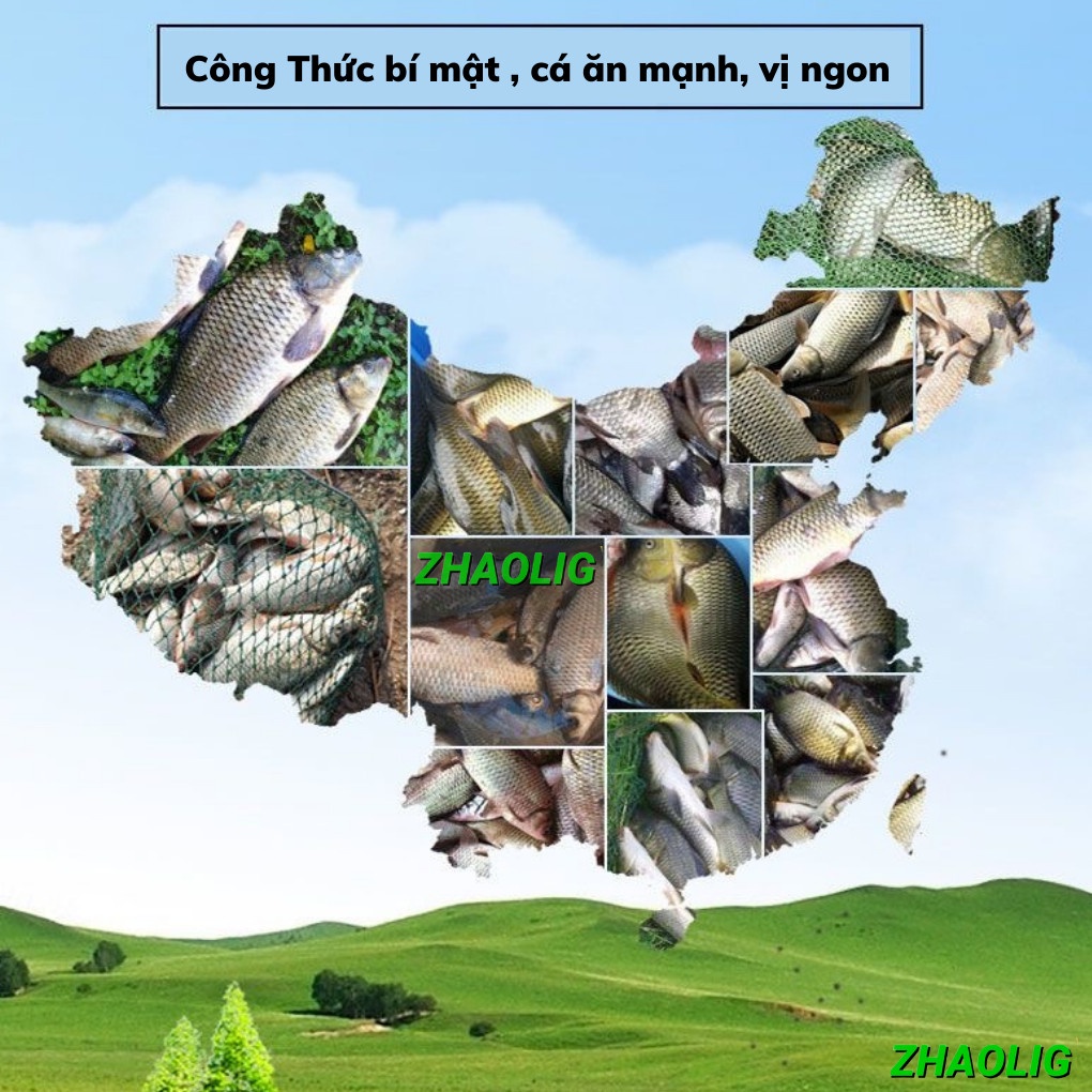 Thính Thuốc Bắc Câu Cá Trắm Đen | ZHAOLIG