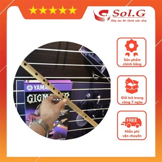 Sáo Trúc dọc giá rẻ Phân Phối Nhạc Cụ Phụ Kiện Chính Hãng SolG