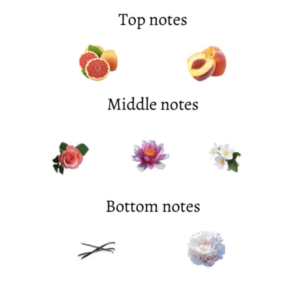 Gift Set Nước Hoa Nữ Catherine Malandrino Luxe De Venise Perfume.