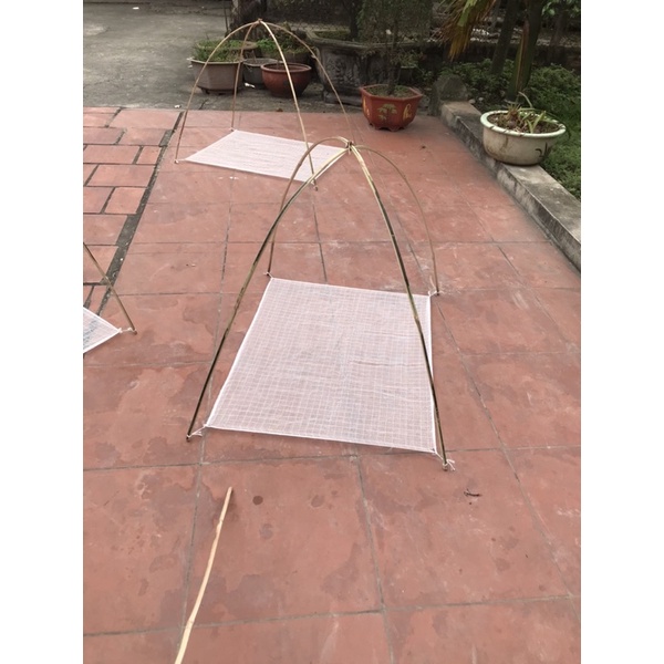 Combo vó kéo tép 10c