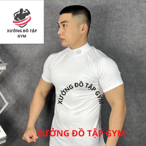 Áo Thể Thao Nam LA Sport thun lạnh tập gym cổ tròn ngắn tay vải thoáng mát co giãn chuẩn form nhiều màu