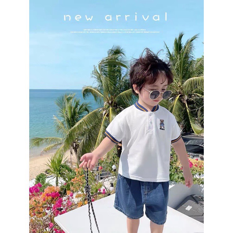 Áo polo in hình gấu chất liệu cốt -tông mềm mát cao cấp