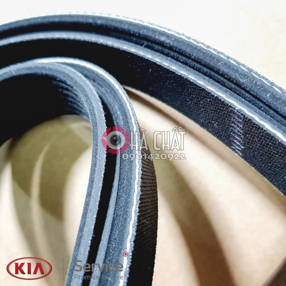 Dây curoa tổng KIA CERATO & K3 🚘 Nhập khẩu KIA MOTORS - HYUNDAI MOBIS Hàn Quốc; Bảo hành 100% là hàng xịn chính hãng