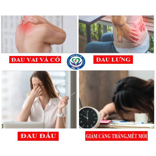 Tinh dầu gừng- tinh dầu ngải cứu dùng cho Massage-Hộp 180ml