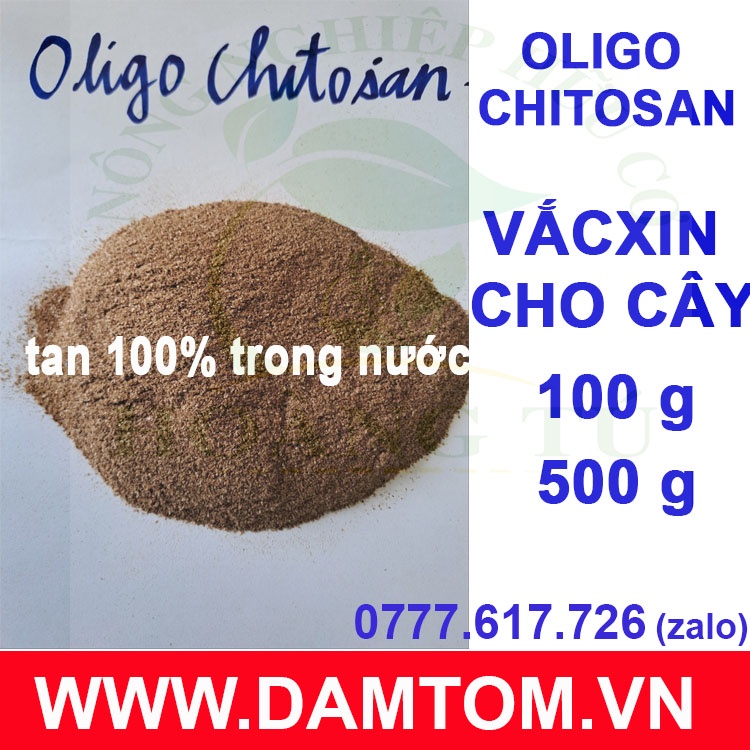 Oligo Chitosan 99% - Vắc Xin cây trồng hoạt hóa  gói 100g /500g