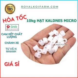10kg Hạt Lọc kaldnes vật liệu lọc hồ cá koi