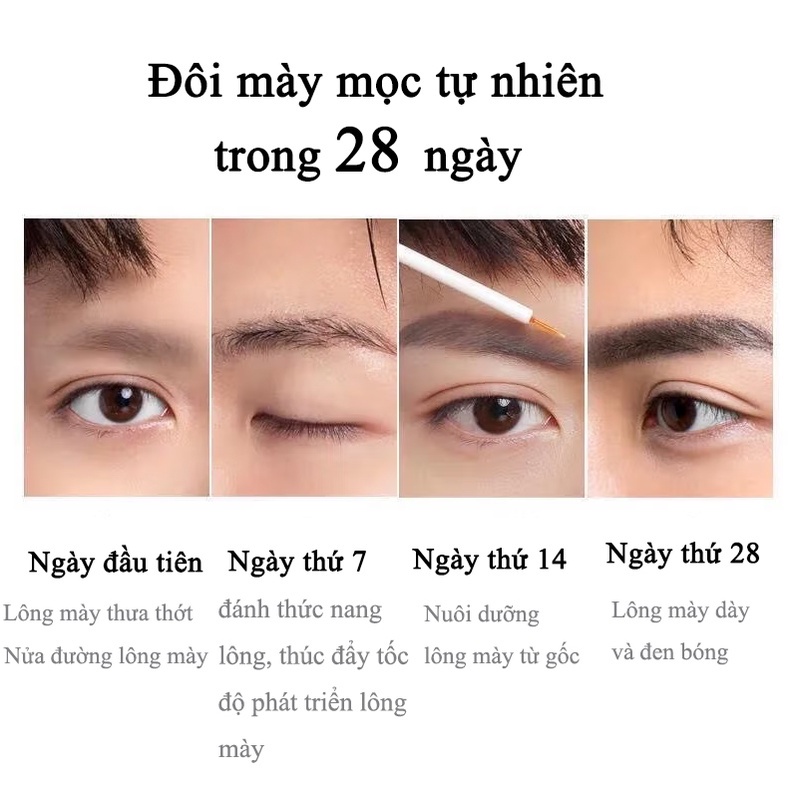 Tinh chất tăng trưởng lông mày, làm dày lông mi, lông mày và chân tóc, tăng trưởng tự nhiên và nhanh chóng