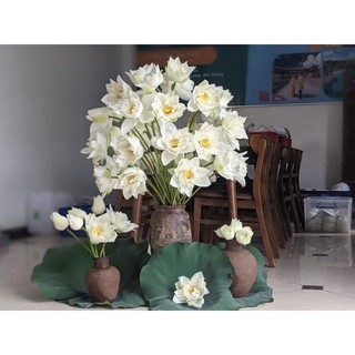 Hạt sen bách diệp