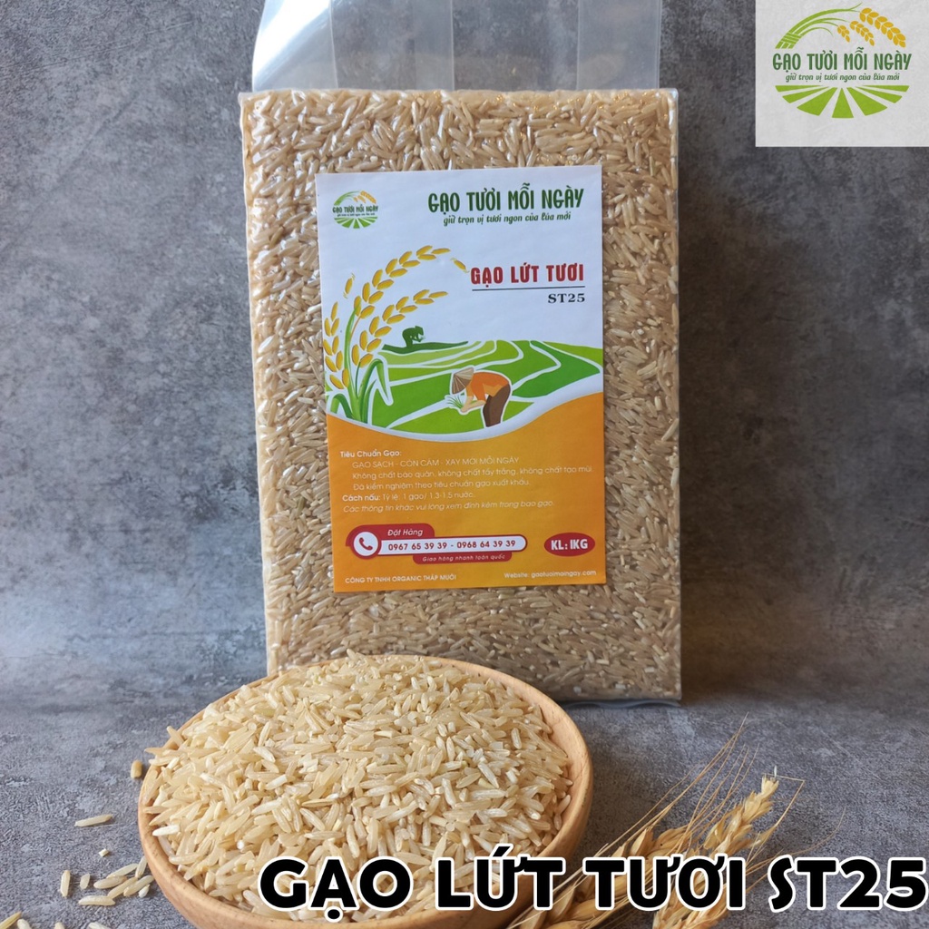 Gạo lứt tươi ST25 thùng 1kg, 2kg, 5kg - Giữ trọn vị tươi ngon của lúa mới