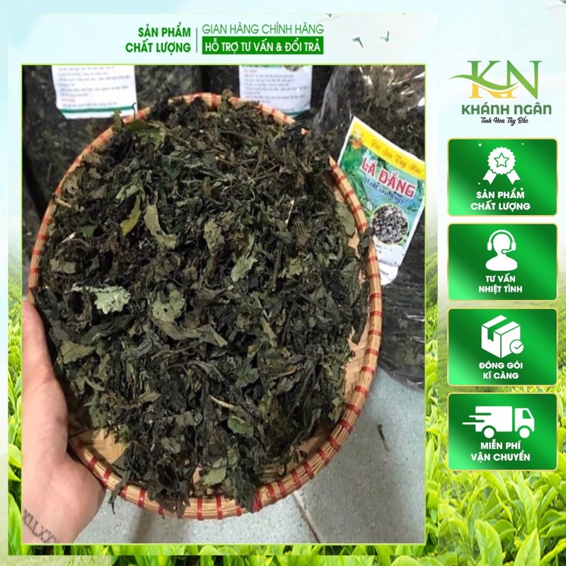 Lá Đắng, Lá Rau Rừng Khô Xanh Mướt Đẹp