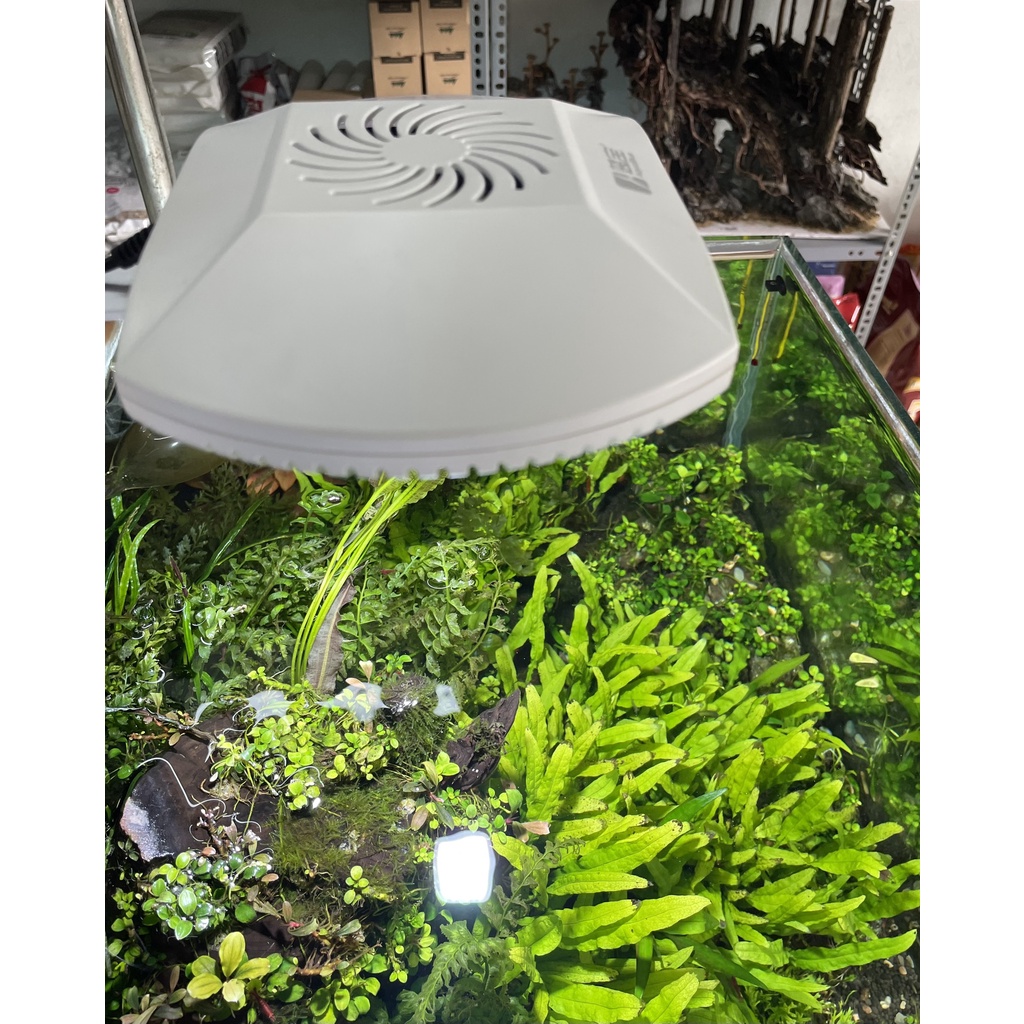 ĐÈN LED WRGB AQUA BLUE S6