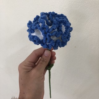 Hoa Cẩm Chướng bằng len handmade