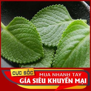1kg hung chanh.tan lá dày