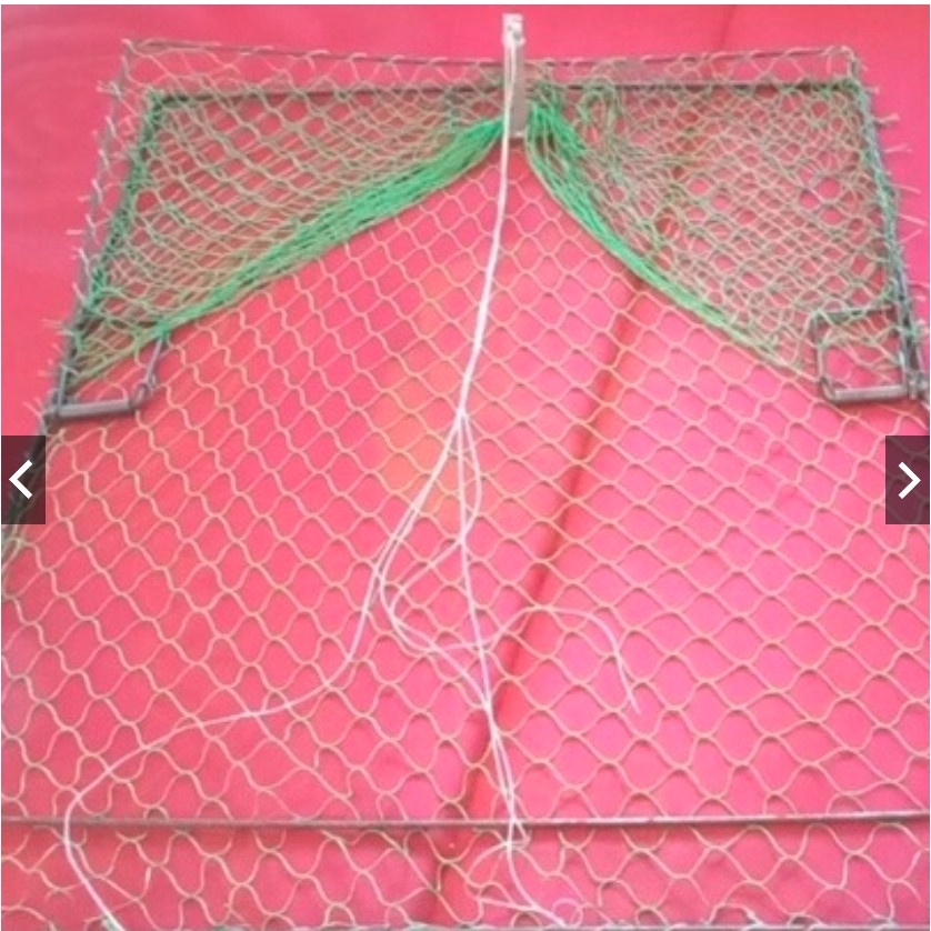 Mẹt Vuông Lồng Bẫy Chim , Gà , Bìm Bịp , Cò Quốc , Cút Rừng
