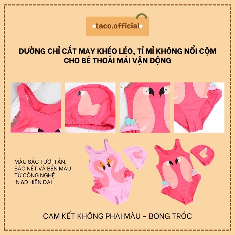 Bộ bơi con vẹt đáng yêu