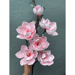 cành mộc lan 6b