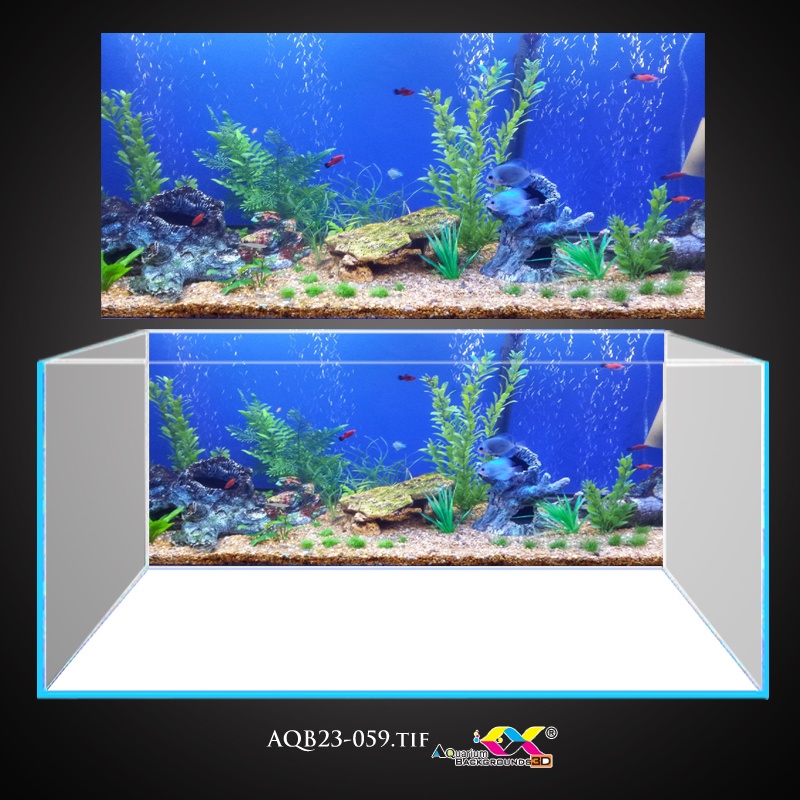 Tranh 3D Koifish - Tranh 3D dán bể cá - Khung cảnh dưới biển - Keo sẵn mặt trước