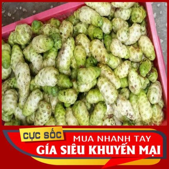 2kg trái nhàu tươi quả nhàu trái nhào quả nhào hỏa tốc 1h nhận hang