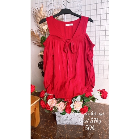 Áo vin dài tay kiểu