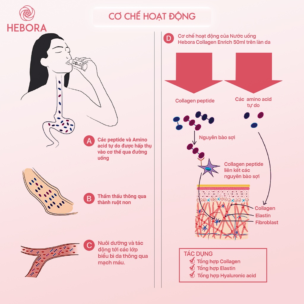 Combo 3 chai nước uống trẻ hóa Hebora Collagen Enrich TẶNG 1 chai Collagen cùng loại - Hàng chính hãng