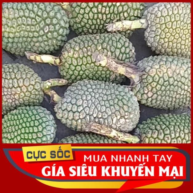 1kg dứa dại tươi  Oganic 1kg