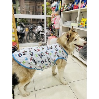 ÁO THUN GIÁ RẺ CHO CHÓ LỚN