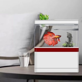Bể cá mini để bàn, Bể cá thủy sinh mini, bể cá văn phòng, có tích hợp đèn và lọc, tặng kèm vật liệu lọc