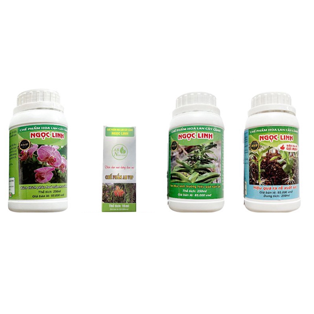 Bộ sản phẩm chăm dưỡng toàn diện dành cho lan và cây cảnh