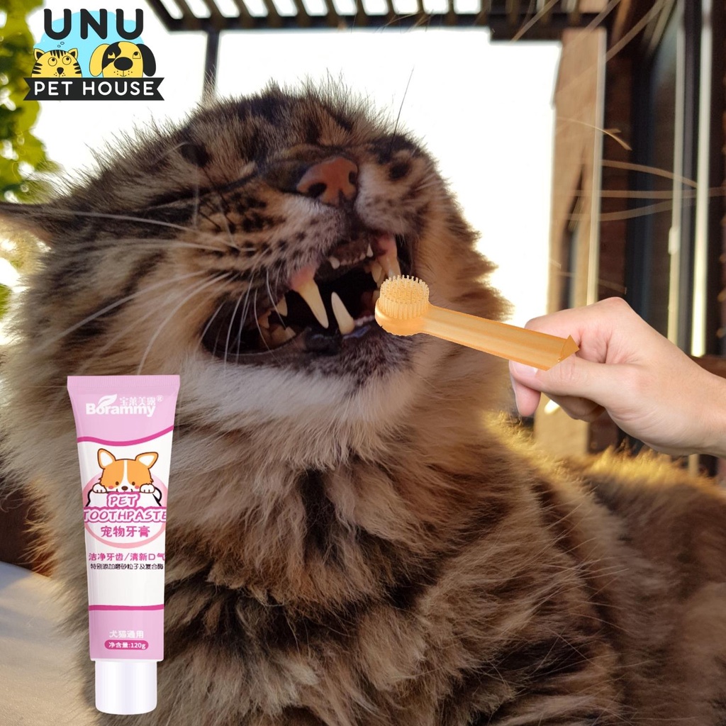 Kem đánh răng cho chó mèo BORAMMY kèm bàn chải, giảm hôi miệng, tránh mảng bám tuýp 120g - UNU Pet House