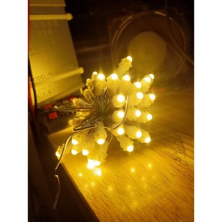 Led Đúc F5/5MM Đế 9MM Màu Vàng Nắng Quấn Cây Trang Trí - Dây 50 Bóng