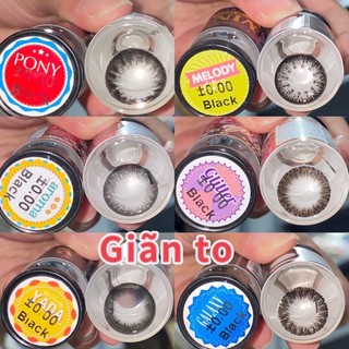[20 Mẫu ] Lens không độ Đen + khay đơn