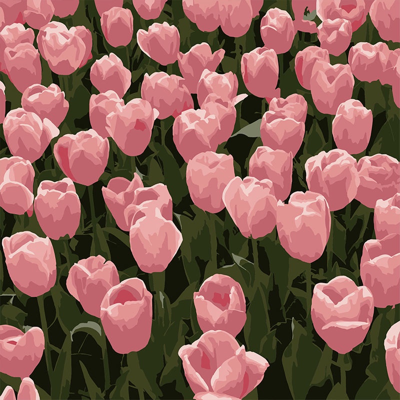 Tranh số hóa 20x20cm hoa tulip tô màu theo số căng sẵn khung - tranh sơn dầu số hóa tự tô tranh phong cảnh