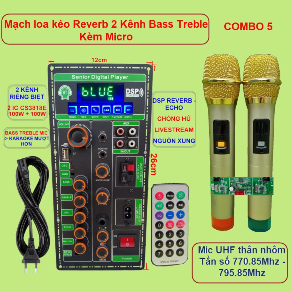 Mạch loa kéo 2 kênh OTG Livestream Chống hú DSP Reverb – Echo 2 IC CS3818E 100W + 100W – Loa kéo 3 tấc đôi Kèm Micro