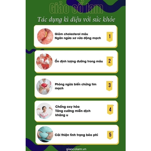 Trà Giảo Cổ Lam Tuê Linh 25 túi lọc_giảm mỡ máu, hỗ trợ điều hoà huyết áp, tim mạch