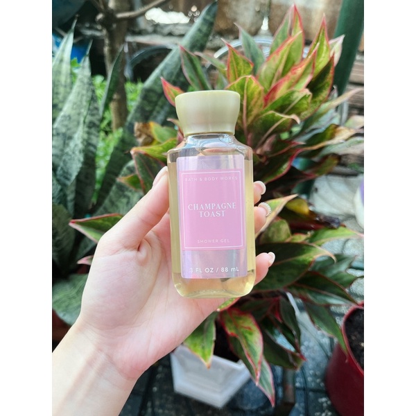 •𝐂𝐡𝐚𝐦𝐩𝐚𝐠𝐧𝐞 𝐓𝐨𝐚𝐬𝐭• Bath & Body Works - Sản phẩm dưỡng và xịt thơm toàn thân dành cho nữ