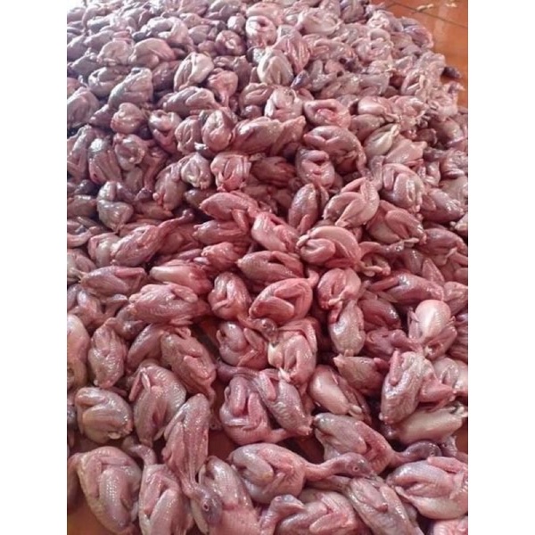 Chim cút xay túi zip 1kg