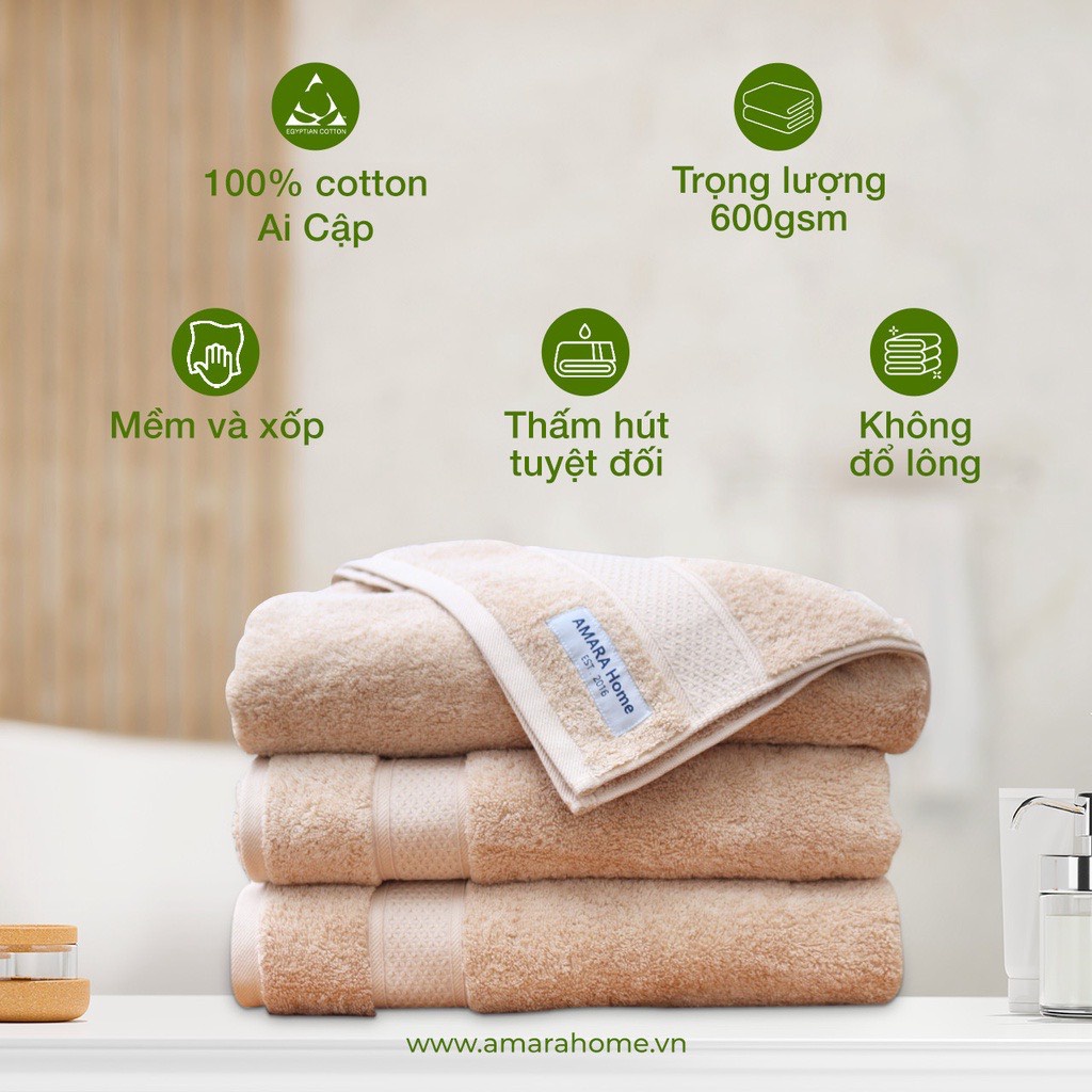 Set Khăn cotton Ai Cập