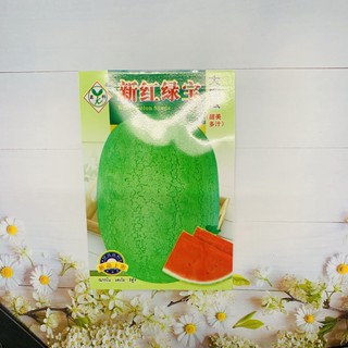 Hạt giống dưa hấu Gary. Hàng nội địa Trung. 3 gr/gói