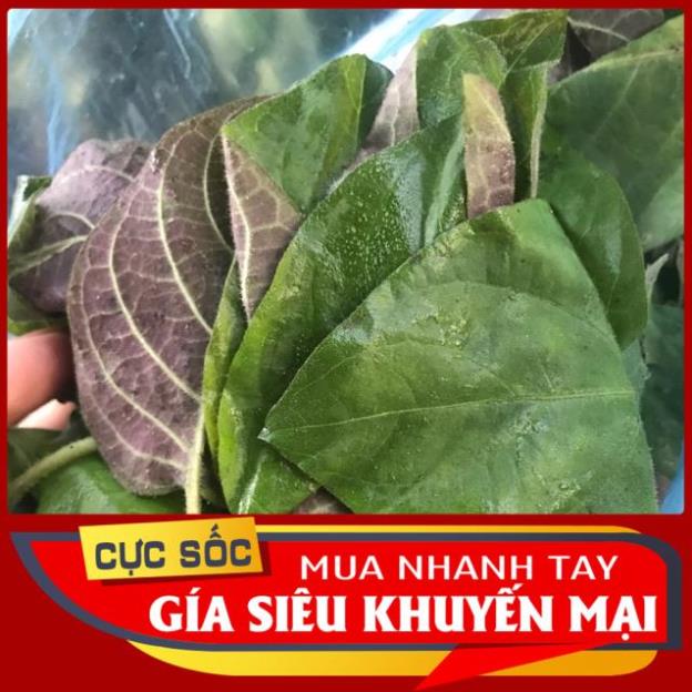 Lá Mơ tươi  500gr