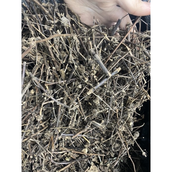 Cây Bồ Bồ(Nhân trần Nam-đắng) nguyên chất (1kg)