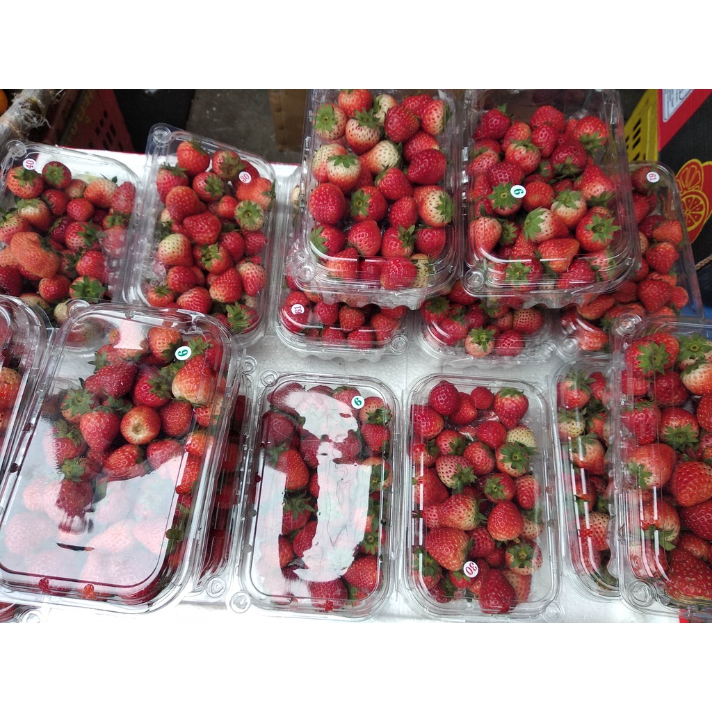 Dâu tây Việt Nam mới về tươi ngon Siêu Thơm Ngon