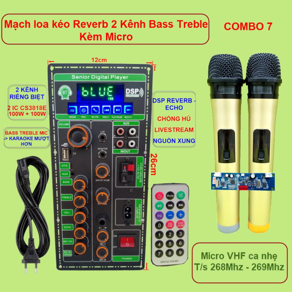 Mạch loa kéo 2 kênh OTG Livestream Chống hú DSP Reverb – Echo 2 IC CS3818E 100W + 100W – Loa kéo 3 tấc đôi Kèm Micro