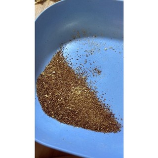 hạt giống sen đá mông ( thạch lan)